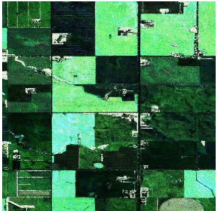 Figure 3. color composite of coherency matrix (RGB: T 11 , T 22 ,  T 33 ), acquired on 2012/07/17 