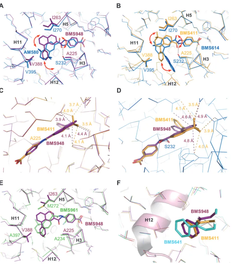 Fig 6. Structural features contributing to the RARβ-selectivity and full agonistic activity of BMS948