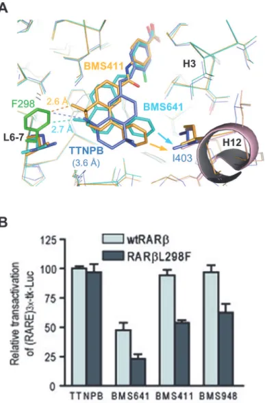 Fig 7. Structural model for full- and partial activity of BMS compounds. (A) Comparison of the steric clashes generated by the L 298 F mutation (green) in RARβ complexed with TTNPB (blue), BMS411 (yellow) and BMS641 (cyan)