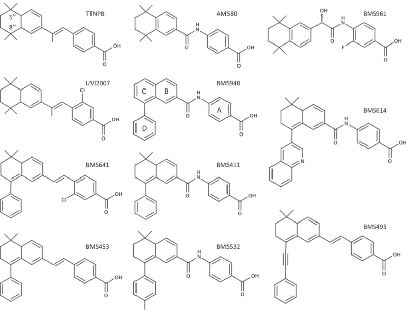 Fig 1. Chemical structures of the synthetic RAR ligands used in this study.