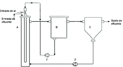 Figura 2.1 – Esquema do protótipo laboratorial do bioreactor tipo “jet-loop” (JLR), com um  volume de 25 l: A, coluna cilíndrica; B, tanque de desgasificação; C, tanque de sedimentação; 1,  bomba centrífuga para recirculação; 2, bomba centrífuga para recic