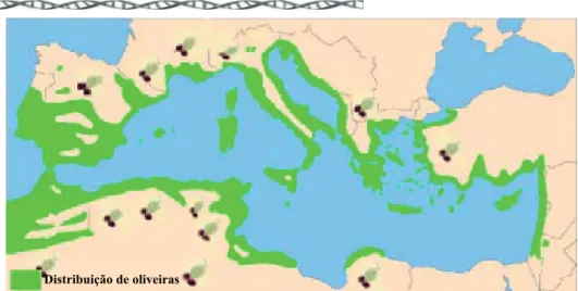 Figura 1.1. Área biogeográfica da produção de azeite, na bacia do Mediterrâneo  (adaptado de Colarieti et al., 2004)