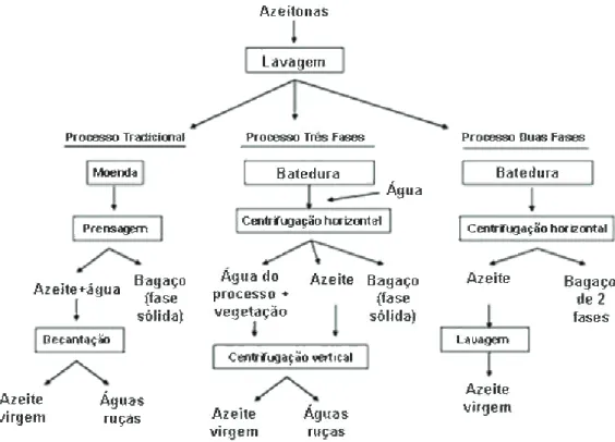 Figura 1.2. Processos para a extracção do azeite (adaptado de Morillo et al., 2009). 