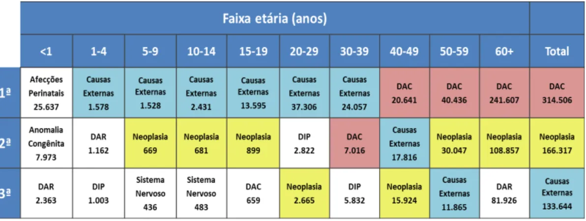 Figura 1 – Principais cargas de morbimortalidade no país por faixa etária 