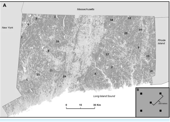 Figure 1 Study location and design. (A) Map of study area in Connecticut, USA represented by forest (dark gray) non forest (light gray) and water (white)