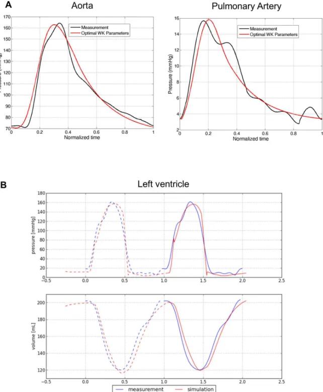Fig 4. Patient-specific hemodynamics. A) Personalized computation of arterial flow after personalization of the Windkessel parameters