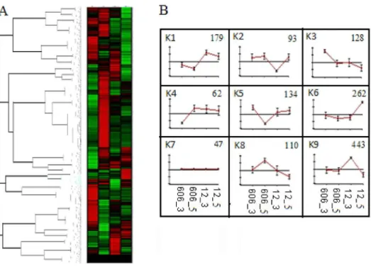 Figure 5.  K-means clustering (A) the expression profile (B) of the Unigenes involved in lipid metabolism
