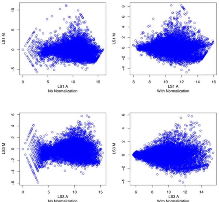 Figure 5. MA plots of microarray data from LS1 and LS3 tomato mutants before and after loess normalization.