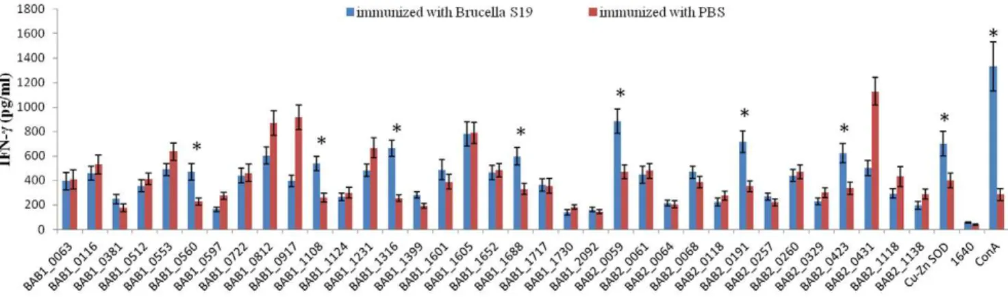 Table 1. Proteins that induced strong T-cell responses in mice immunized with S19.