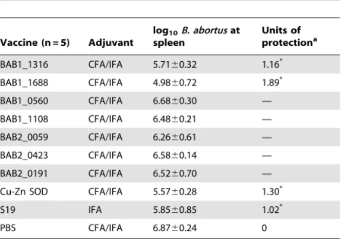 Table 2. Protection against B. abortus 544 infection induced by recombinant B. abortus proteins immunization.