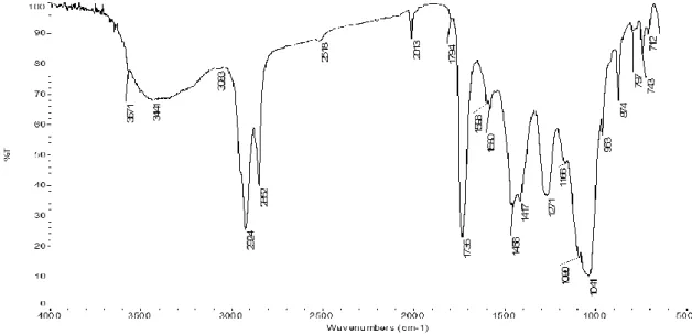 Fig.  5-10  -  Espectro  de  IV  obtido  da  tinta  alquídica  de  negro  de  marfim  (WN331)  antes  do  envelhecimento