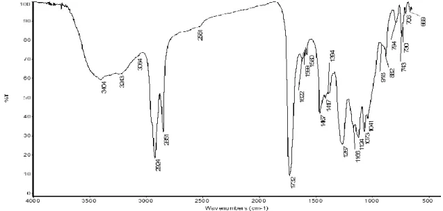Fig.  5-12  -  Espectro  de  IV  da  tinta  alquídica  de  siena  natural  (WN552)  antes  do  envelhecimento