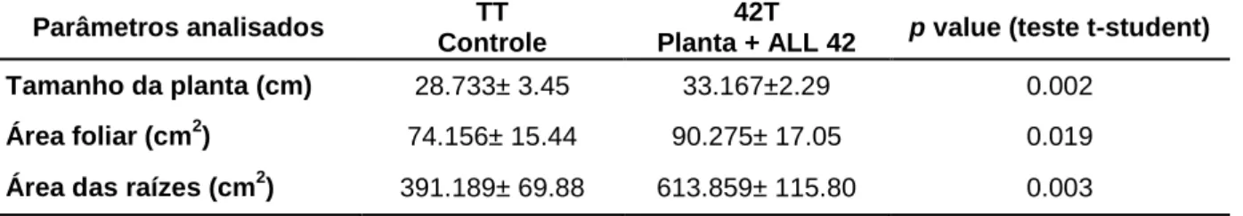 Tabela 3: Avaliação do tamanho, área foliar e volume de raízes de feijoeiro comum após crescimento  por 21 dias na presença ou ausência do isolado de T