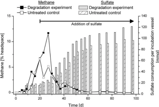 Fig. 2. Methane production and cumulative sulfate consumption in the degradation experiment and the untreated control