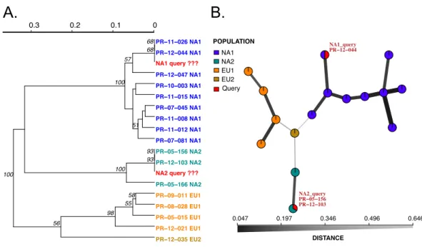 Figure 2 Results of SSR-ID for NA1 and NA2 queries of P. ramorum provided in the example data file