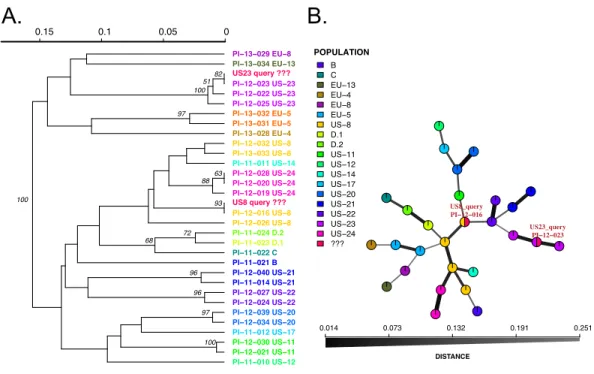 Figure 3 Results of SSR-ID queries for strains placed into the US8 and US23 clonal lineages of the potato late blight pathogen, P