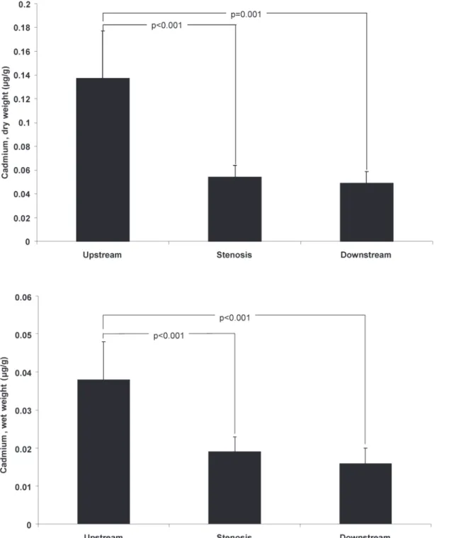 Fig 3. Concentrations of cadmium in different sections of symptomatic carotid plaques