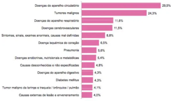 Figura 10: Distribuição dos óbitos por grupos de causas, de acordo com estatísticas do INE   de 2013;  1
