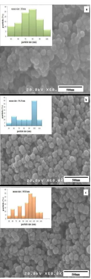 Fig. 4. Field emission scanning electron microscope  and statistical histogram images of (a) S1, (b) S2, (c) S3 