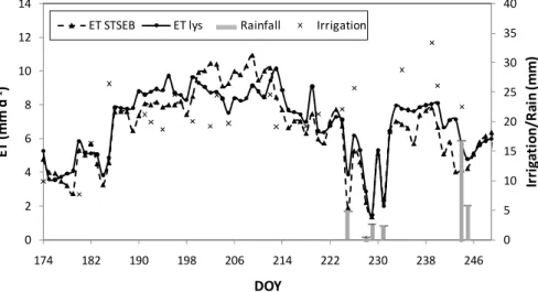 Fig. 7. Evolution of the sorghum daily ET values modelled (STSEB) and measured (lys) for the experiment duration