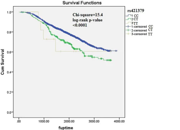 Figure 2. Kaplan-Meier plots depicting breast cancer related survival in response to rs421379 genotypes in pooled POSH stage-1, HEBCS and POSH stage-2 samples.