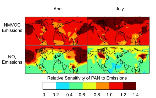 Fig. 4. Relative sensitivity of total column PAN concentrations to emissions of NO x and NMVOCs in April and July
