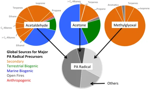 Fig. 5. Global contributions of individual NMVOCs to PAN formation, expressed as the relative contributions to the major carbonyl species producing the peroxyacetyl radical (PA), and from there, the relative contributions of the carbonyl species to global 