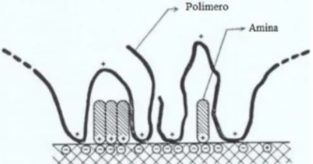 Figura   1:      Coadsorção   de   polímero   catiônico   de   alto   peso   molecular   PAMA   e   dodecilamina   sobre   a   superfície   do    quartzo,   resultando   em   depressão   da   flotação   (Somasundaran   &amp;   Ramachandran,   1988)