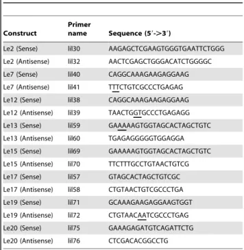 Table 1. Primers used for preparation of the vav1 promoter constructs*.