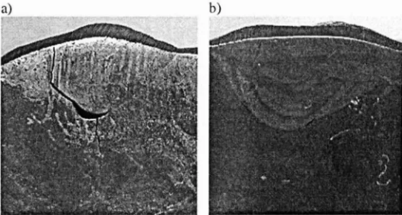Fig.  5.  Finc-grained  dendritic structure of padding  wclti  on  nodular casl iron  EN-GJS-500-7, 