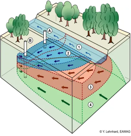Fig. 4. Schematic block diagram showing relationship between a river, losing water through a saturated bed, and groundwater: (1) River (light blue), (2 and 3) Groundwater of  river-bank filtration origin (dark blue, &lt; 300 m flow distance from river, and