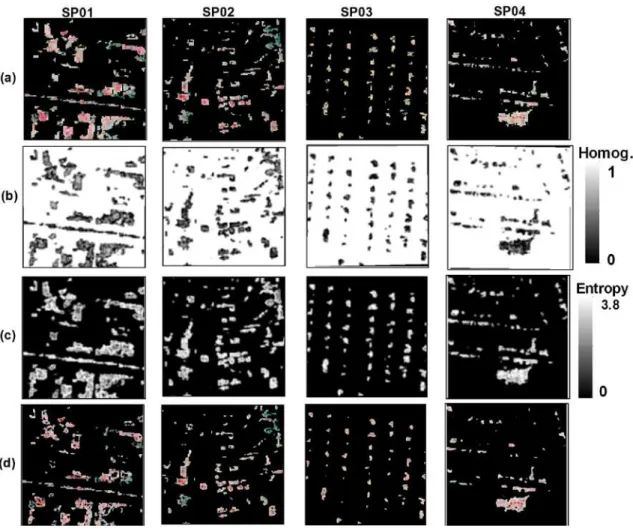 Figure 6: Texture process of four VHR samples. (a) Final output of NDVI process,   (b) homogeneity, (c) entropy, (d) Final output of Texture process