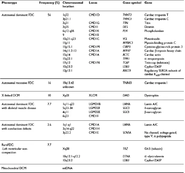 Tabela 1 - Genes reconhecidamente associados a miocardiopatia dilatada familiar. FDC =  Cardiomiopatia Dilatada Familiar; DCM = Miocardiopatia Dilatada