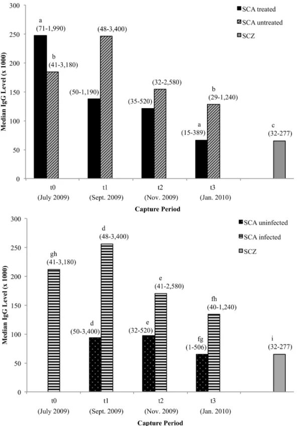 Fig 4. IgG levels in Santa Catalina Island treated/untreated and uninfected/infected foxes, and Santa Cruz Island foxes