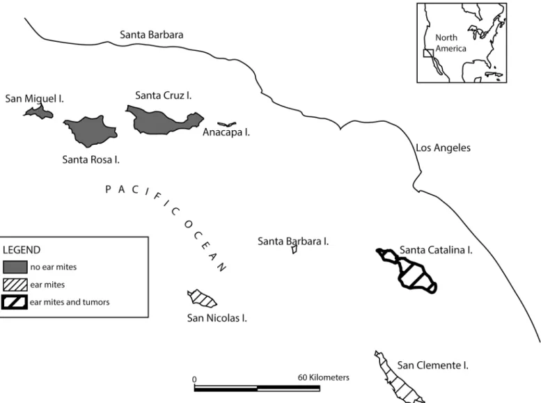 Fig 1. Map of the Channel Islands (California, USA). Distribution of foxes that are uninfected or infected with ear mites, and foxes that have ear canal tumors