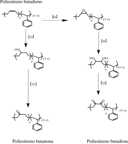 Figura 4.1 - Processo de oxidação de uma partícula de borracha látex, que pode originar dois produtos finais, o Poliestireno  butanona e Poliestireno butadiona