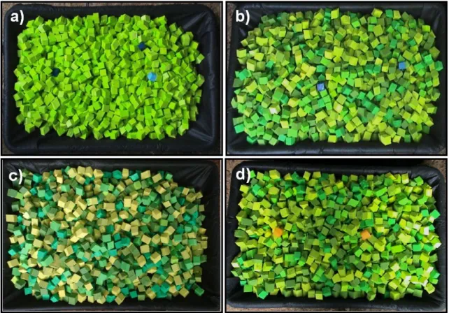 Figura 5. Etapas experimentais: a) Controle, b) Azul, c) Verde, d) Laranja. 