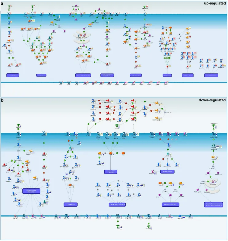 Figure 3. Creation of causal network models for PD brain regions reveals parallel yet distinct dysregulated pathways