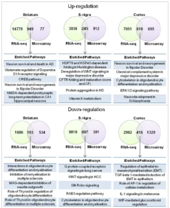 Figure 4. Overlap between pathways significantly enriched with differentially expressed genes identified by microarray and RNA-sequencing