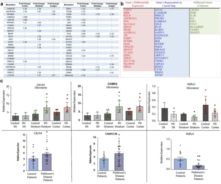 Figure 6. Tracking peripheral biomarkers identified from the causal mapping of PD brain