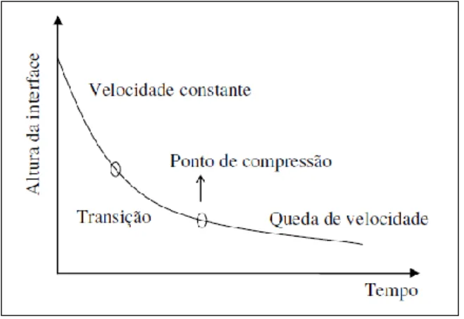 Figura 6: Curva de sedimentação. 