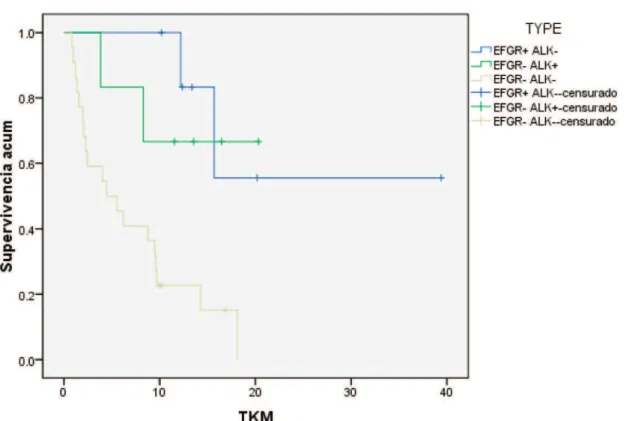 Figure 3. Diagram of total patients and distribution according to ALK testing result for FISH and IHC.