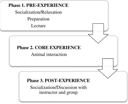 Figure 3.1: Experience Stages 