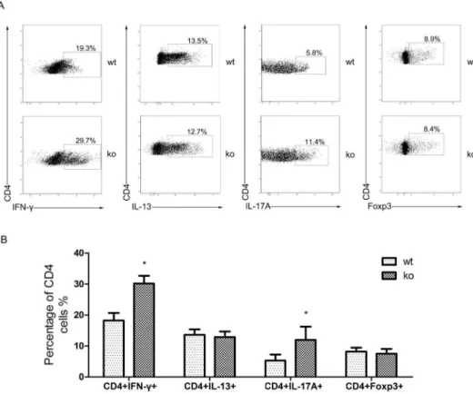 Figure 4. T cell-specific-PPARc knockout changes CD4+ T cell subsets differentiation. A