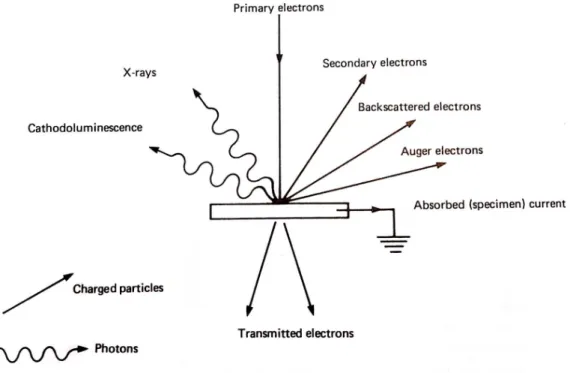Figura 2.9: Partículas e fótons emitidos quando uma superfície é bombardeada por elétrons [79] .