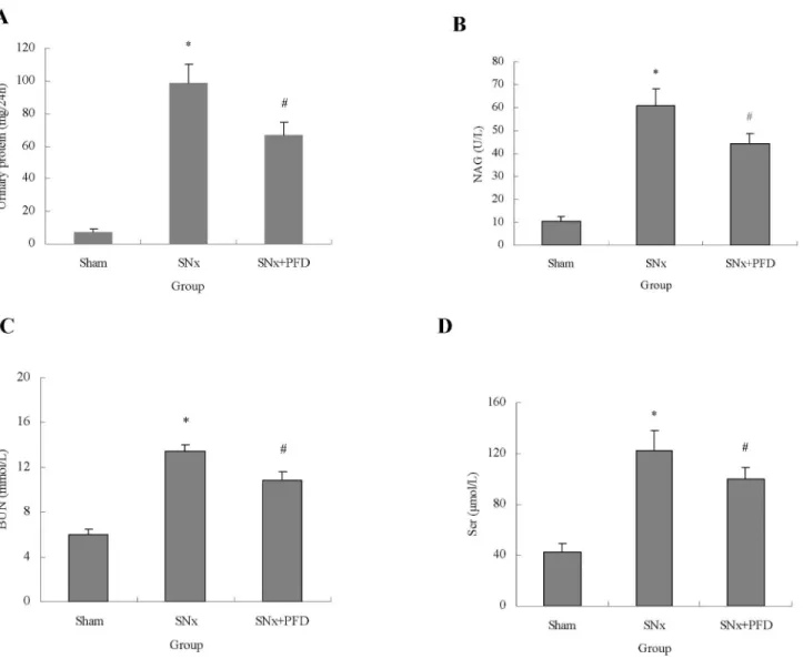 Figure 1.  Pirfenidone improved general parameters in SNx rats.  Urinary protein excretion (A), NAG activity (B), blood urea nitrogen (C) and serum creatinine in sham-operated, SNx and PFD-treated rats at the 12 th  week post-surgery