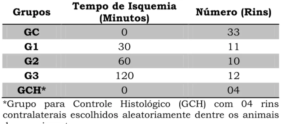 Tabela  1  -  Relação  entre  o  tempo  de  isquemia  e  o  número  de  rins  avaliados  pela  espectroscopia de fluorescência 