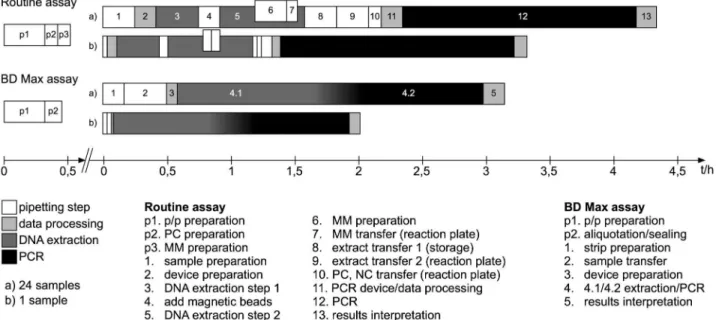 Fig 1. Scheme of workflow. Abbreviations: p/p, primers/probes; PC, positive control; MM, master mix; NC, negative control.