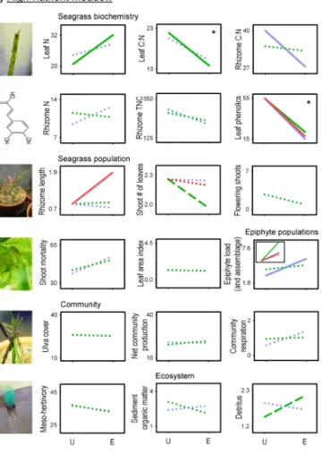 Figure 5. Continued.
