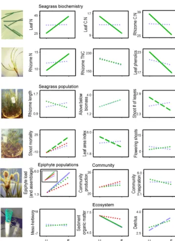 Figure 5. Summary of the effects of CO 2 (blue line) and nutri- nutri-ent (green line) additions and, when significant, of their  interac-tion (red line) on Zostera noltii plant-, community-, and  ecosystem-level traits of low-nutrient (a) and high-nutrien